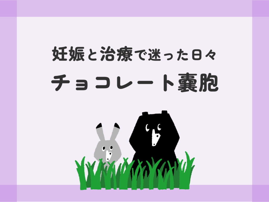 妊娠と治療で迷った日々 チョコレート嚢胞