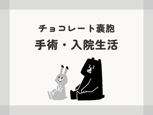 チョコレート嚢胞「手術・入院生活」