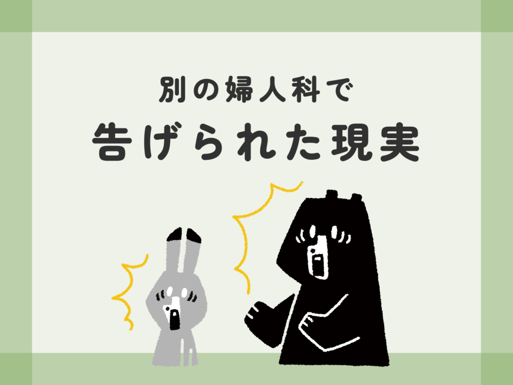 別の婦人科で告げられた現実