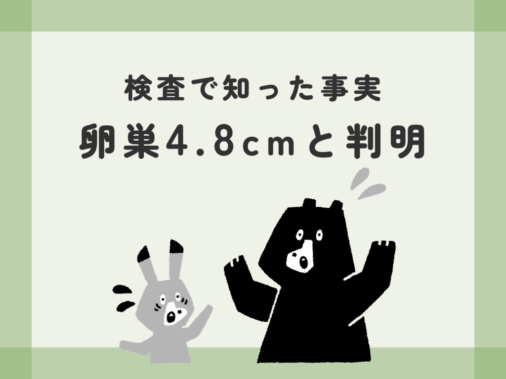 検査で知った事実。卵巣4.8cmと判明