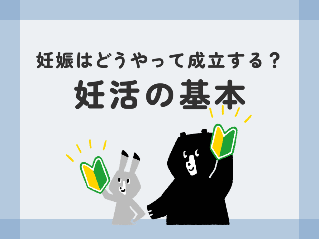 妊娠はどうやって成立する？妊活の基本