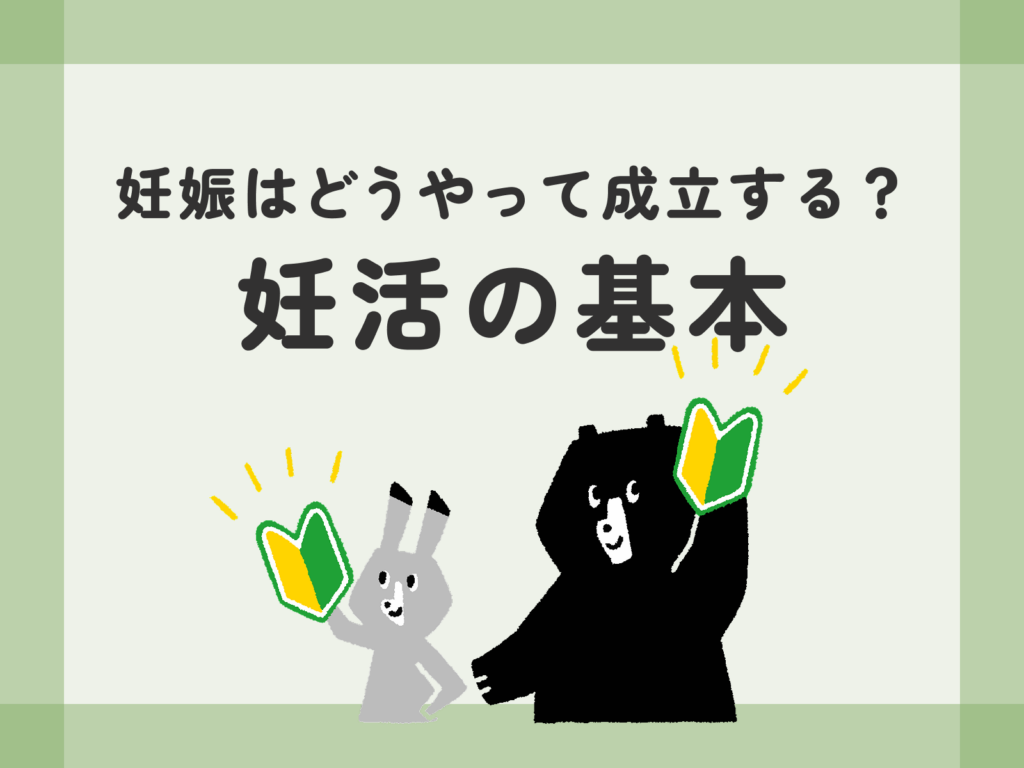 妊娠はどうやって成立する？妊活の基本